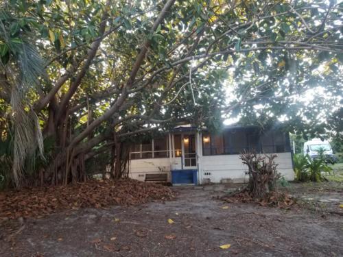 The front of the house after trimming the banyan tree on the right.