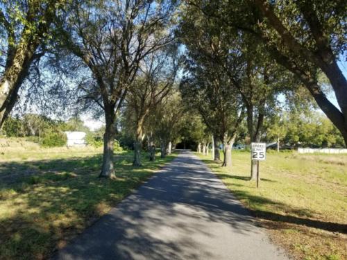 The entrance to Lake Byrd Blvd is lined with trees.